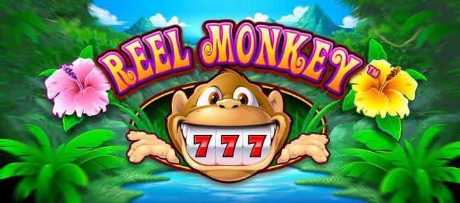 online casino games fb777 slot casino login